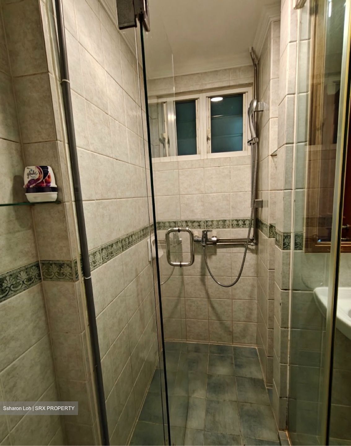 Emerald Garden (D1), Condominium #617019441